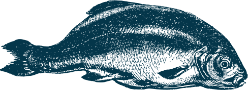 Illustration poisson bleu