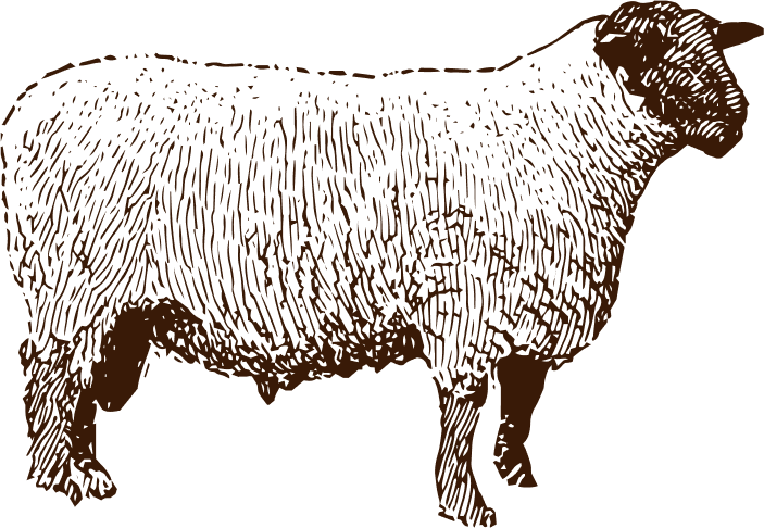 Illustration mouton marron le brazé