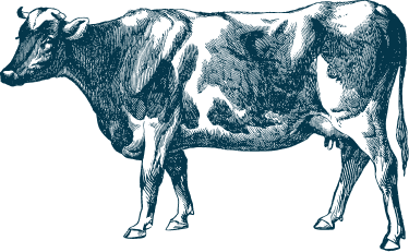 Illustration bleue vache